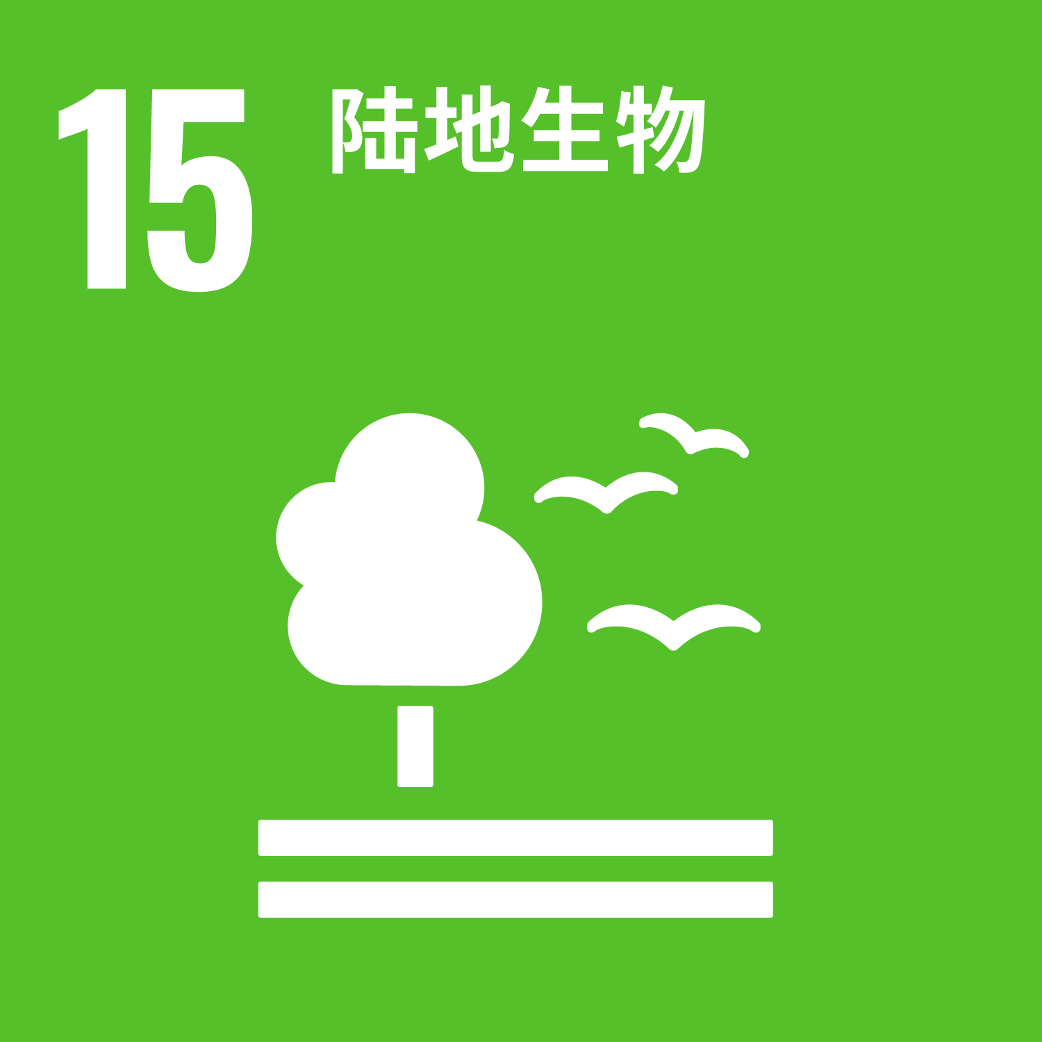 云顶集团(中国)官方网站