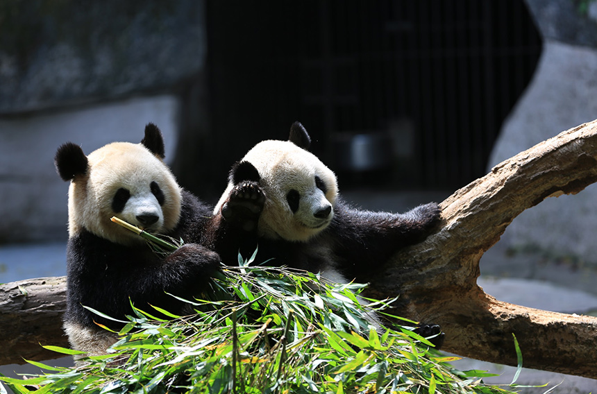 生物多样性；